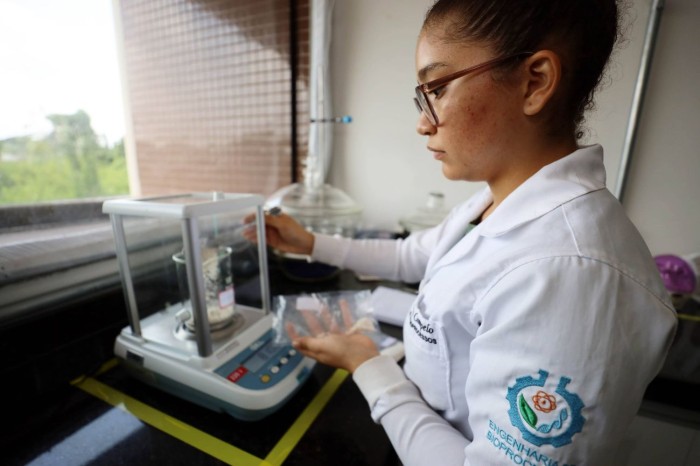 Crédito: Bruno Cecim / Ag.Pará