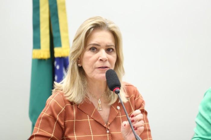 Lêda Borges defendeu o estímulo a condutas comprometidas com direitos das mulheres - (Foto: Billy Boss/Câmara dos Deputados)
