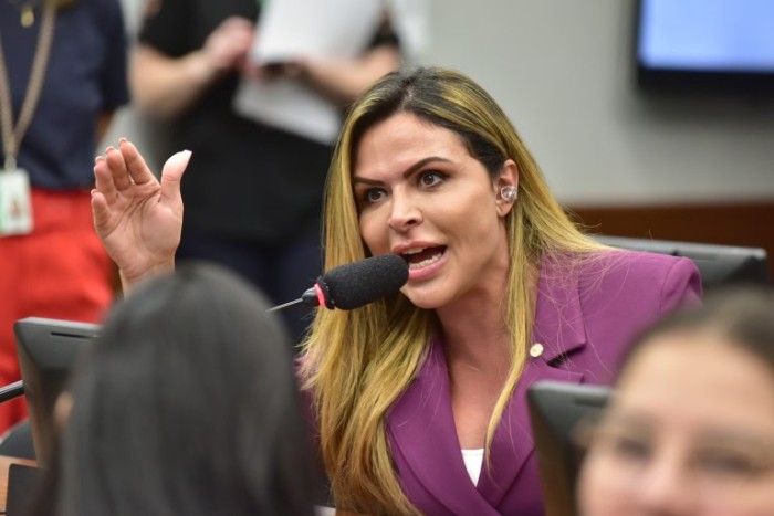 Silvye Alves defende que Câmara apoie qualquer iniciativa que estimule mulher vítima de agressão  - (Foto: Zeca Ribeiro / Câmara dos Deputados)