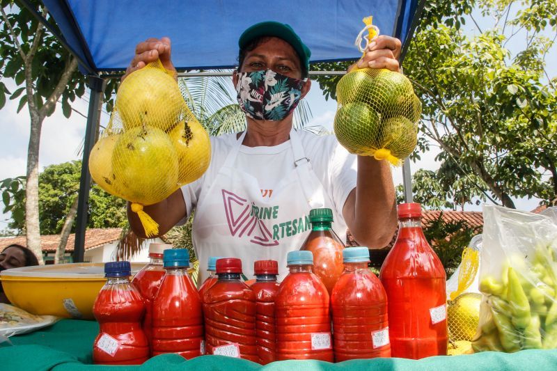 Foto: Reprodução/Secom Pará